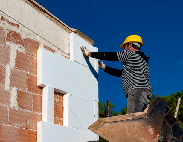 Best Specialized Insulation Services in Agua Dulce, TX
