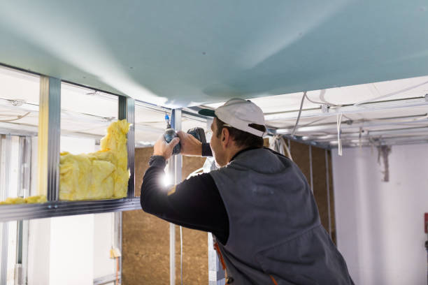Best Residential Insulation in Agua Dulce, TX