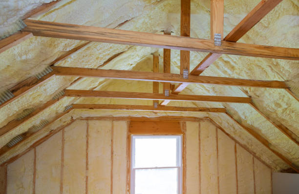 Best Eco-Friendly Insulation in Agua Dulce, TX
