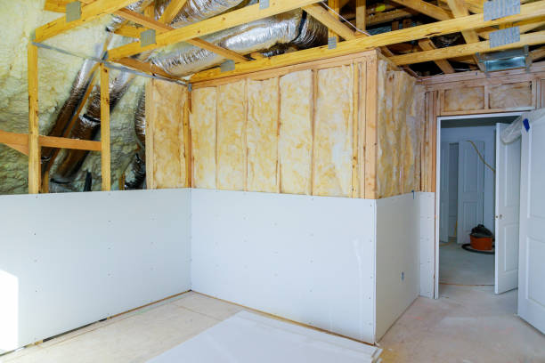 Best Spray Foam Insulation in Agua Dulce, TX